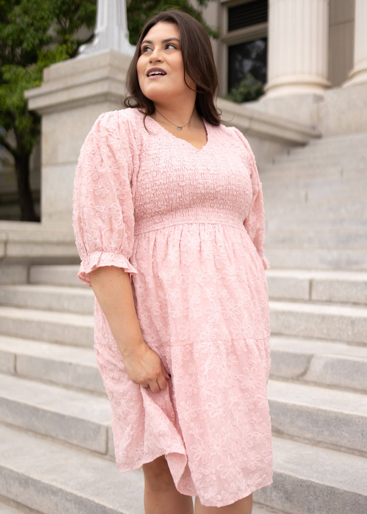 Robin Blush Floral Textured Dress